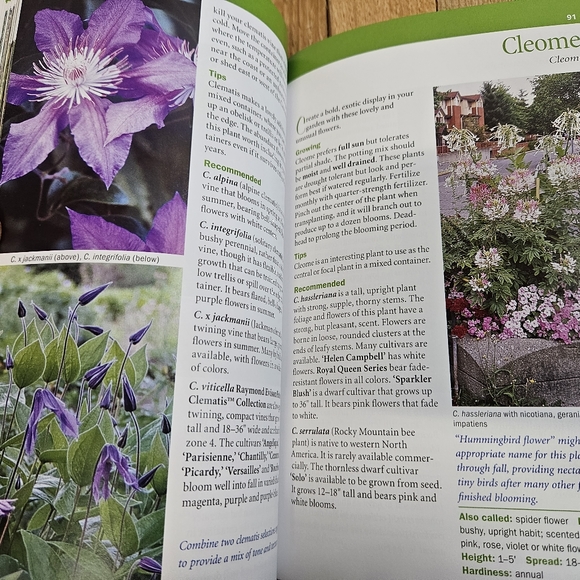 CONTAINER GARDENING OF WASHINGTON AND OREGON - LONE PINE - PAPERBACK - Picture 4 of 5